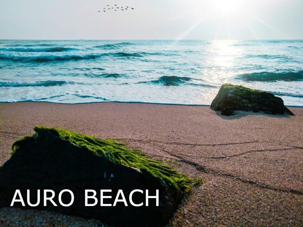 Pv Cottages Serenity Beach ปอนดิเชอรี ภายนอก รูปภาพ